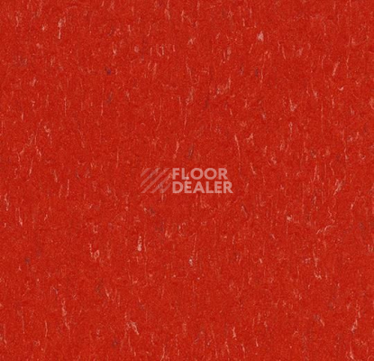 Линолеум Forbo Marmoleum Solid Piano 3625-362535 salsa red фото 1 | FLOORDEALER
